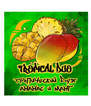 Табак B3 - Tropical Duo (Ананас Манго)