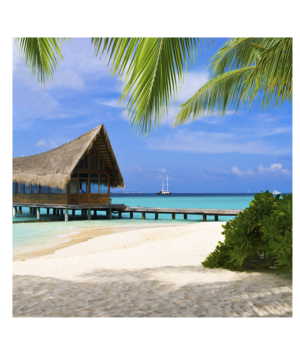 Табак Virginia Dark - Райский фрукт