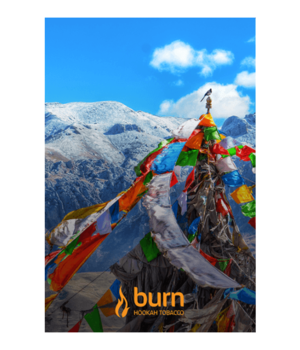 Табак Burn - Tibet (Индийские Специи)