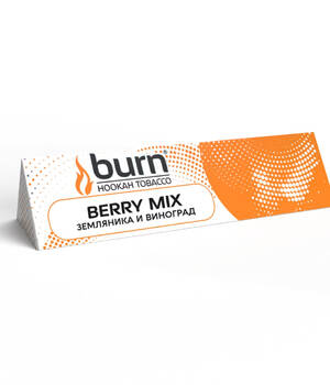 Табак Burn - Berry Mix (Ягодный Микс)